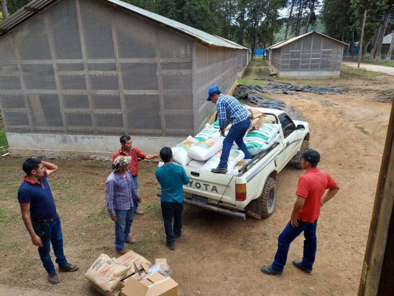 Las autoridades también reportaron vehículos oficiales desaparecidos, unidades abandonadas en talleres privados y más de 80 automotores presuntamente desmantelados dentro de la institución.
