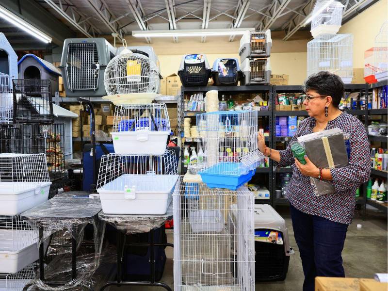 En esta área encuentre todo el equipo e implementos que necesita para el cuidado de sus mascotas.