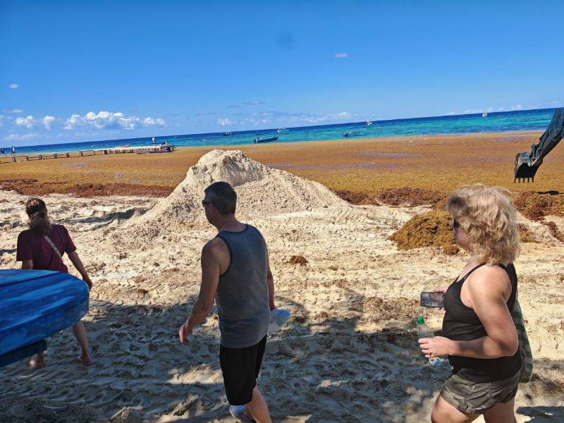 Turistas extranjeros caminan por las playas de Roatán afectadas por la llegada de olas de sargazo.