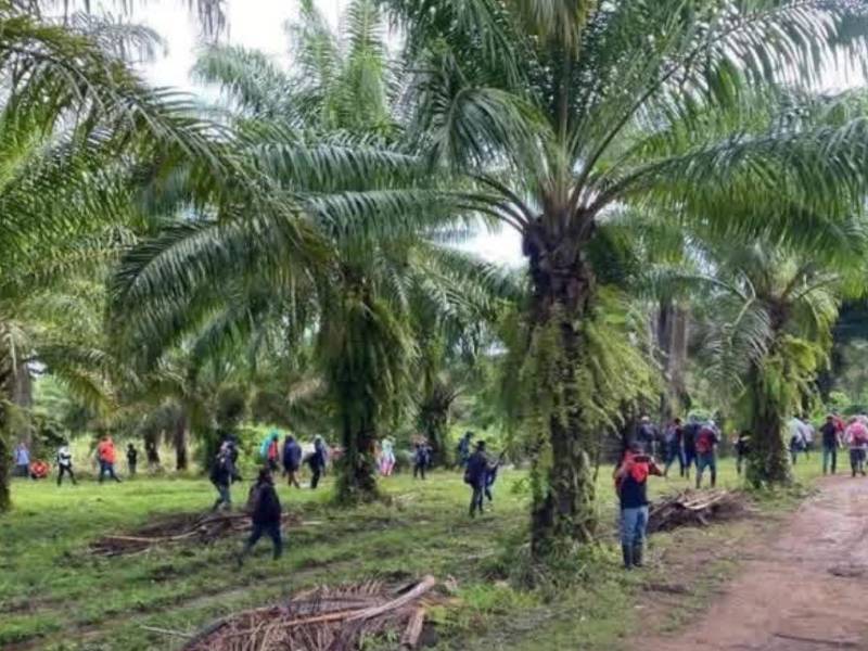 En la Finca Paso Aguán ocurrió la masacre.