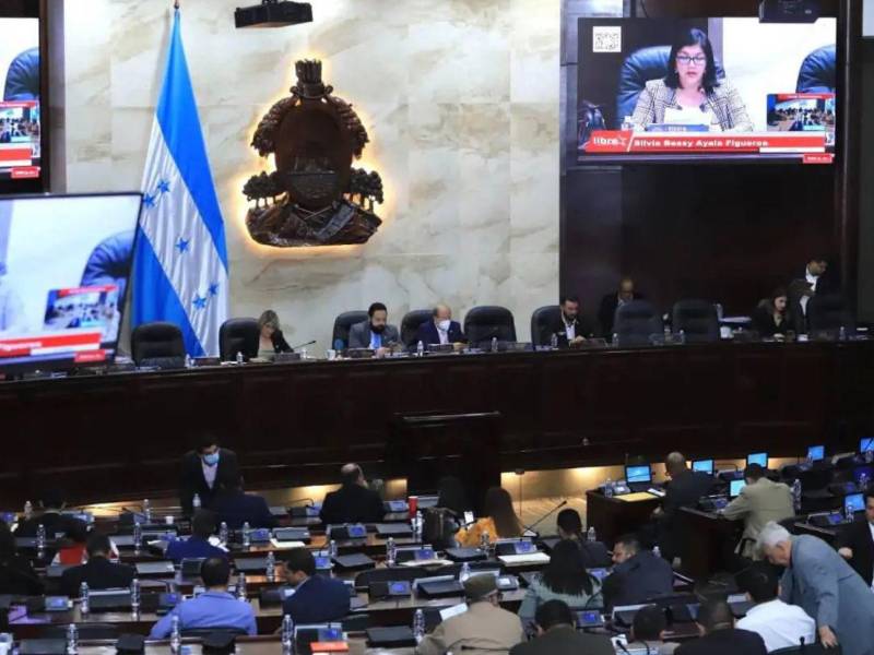 Maribel Espinoza, confirmó que los diputados del Partido Liberal, Partido Salvador de Honduras (PSH) y Partido Nacional participarán en la autoconvocatoria.