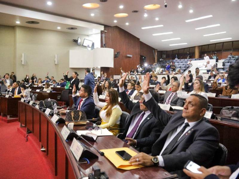 Congreso Nacional aprueba amnistía de seis meses para registrar armas de uso permitido sin factura ni documentación oficial. Se deberá someter a una inspección, y se excluyen artefactos de uso prohibido o regulado.
