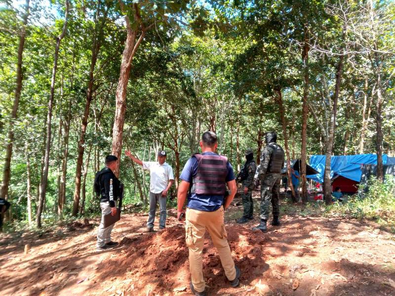 Las personas descombraron el bosque para instalar un asentamiento humano.