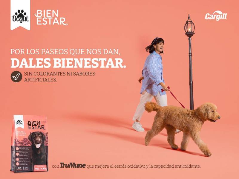 Ellos son tus compañeros de vida y merecen que los cuides y nutras en todas sus etapas.