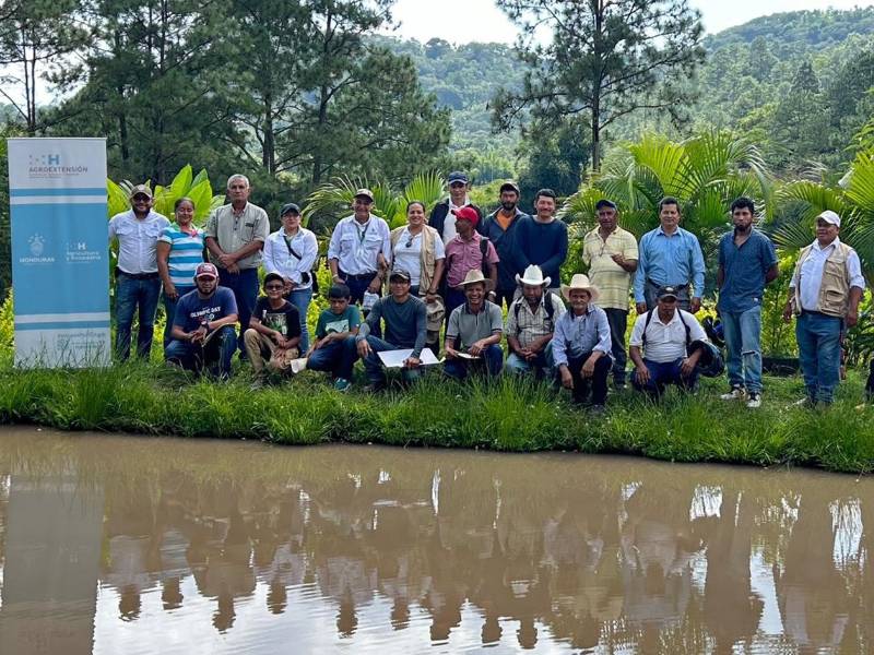 Productores de tilapia participan en jornada de asistencia técnica por parte de la SAG
