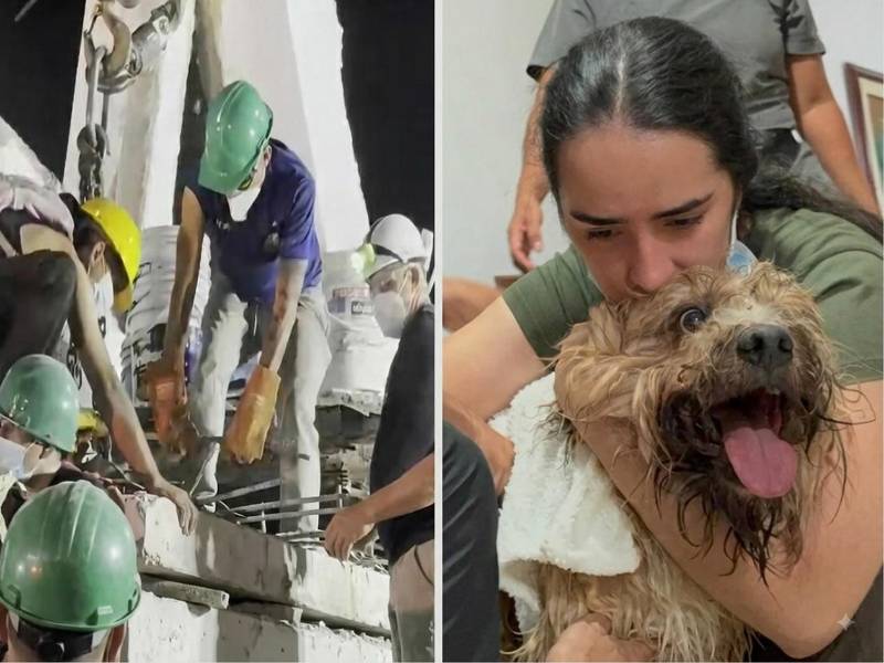 Cuando los rescatistas llevaban cerca de 48 horas removiendo toneladas de hierros retorcidos y concreto en las Torres del Limonar, en Cali, una señal de vida ilusionó a quienes seguían buscando entre los restos de uno de los edificios destruidos por el terremoto que sacudió a Colombia el pasado lunes.