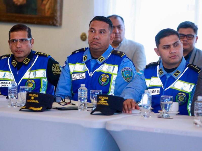 El sistema, que servirá también para controles de Tránsito, permitirá pasar de una identificación física a un procesamiento digital y electrónico de los registros vehiculares, facilitando una identificación “fehaciente y segura, inequívoca” de los automotores que circulan en el país, aseguró Lucía Mausen, gerente de Ventas para Latinoamérica y el Caribe de Tönnjes.