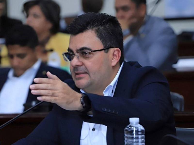 El procedimiento de expulsión de un miembro de ese instituto político es tomada por la asamblea general del partido, una vez que el coordinador general la remite.