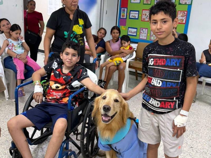 Max es uno de los tres canes del programa Dogtors de Fundación Ruth Paz.