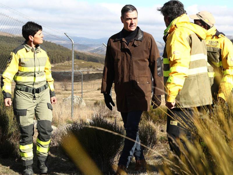 El presidente de España, Pedro Sánchez ha descrito el proceso como un paso de justicia y un reconocimiento de la realidad de casi medio millón de personas, vinculándolo también con la memoria histórica de la emigración española.
