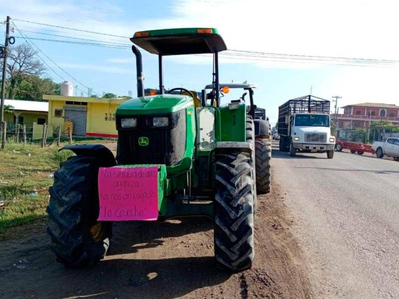 Con maquinaria agrícola y pancartas, los productores de Atlántida y Colón marcharon pacíficamente por la carretera CA-13, sin bloquear el paso, exigiendo apoyo del Gobierno central.