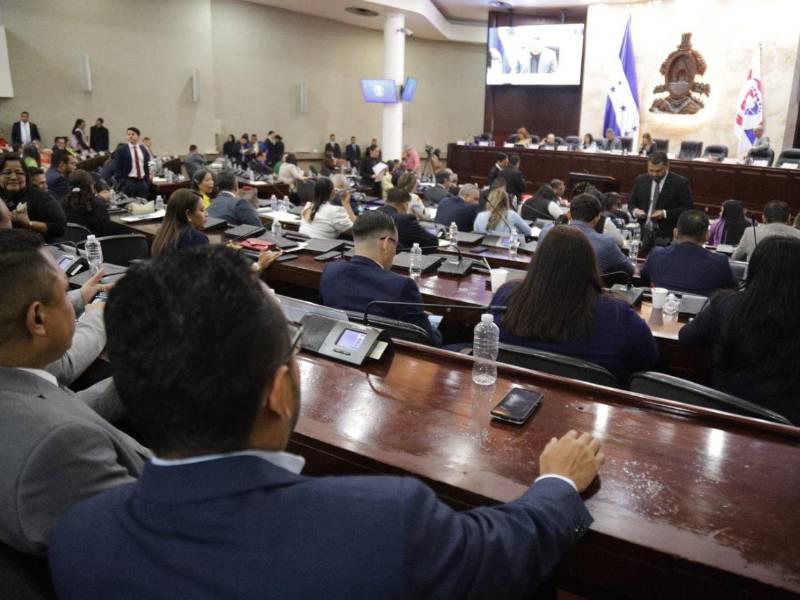 Con el decreto aprobado, se espera que Honducor disponga de mejores condiciones para continuar operando y cumplir con sus responsabilidades nacionales e internacionales.