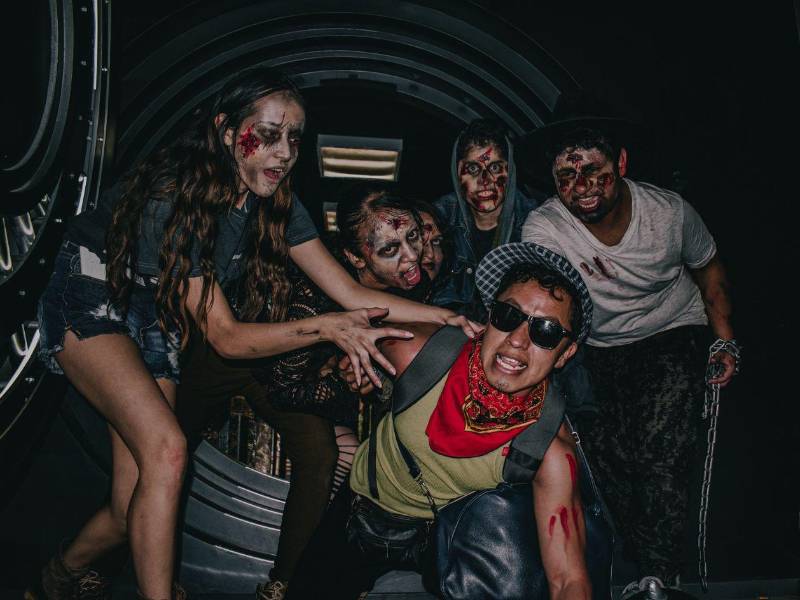 Los pasajes del terror ofrecen el escenario ideal para poner a prueba los límites del miedo recreativo: una amenaza biológicamente creíble, pero en un entorno completamente seguro.