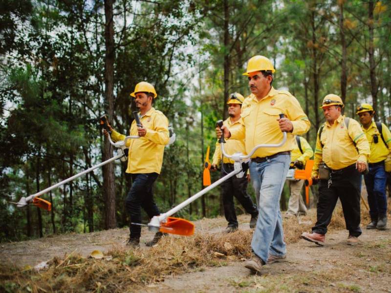 Cervecería Hondureña ha donado herramientas a los brigadistas que necesitan para realizar las labores de prevención, control y combate de incendios forestales en El Merendón.