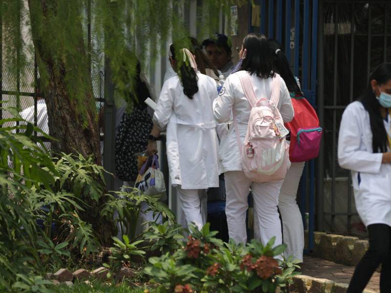 La matrícula de la carrera de Medicina aumentó y actualmente supera los 400 estudiantes de primer año, lo que ha incrementado la demanda de docentes para atender la carga académica, expreso la representante de los estudiantes.