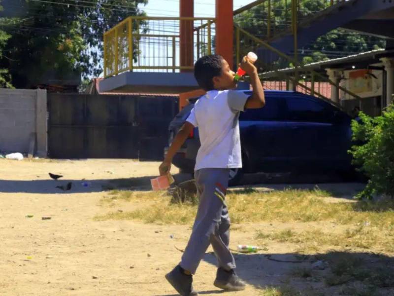 En el nivel de prebásica, las clases se desarrollarán de 8:00 de la mañana a 11:00 de la mañana.