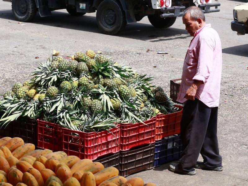 La piña proveniente del sector del Lago de Yojoa, Santa Cruz, junto con papayas y otras frutas, forma parte de los productos que abastecen los mercados sampedranos.