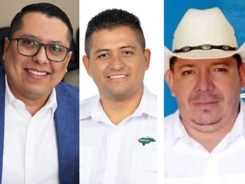Rubén Pacheco, alcalde de Quimistán, Santa Bárbara, seguirá como alcalde. Ricardo Cálix seguirá siendo alcalde por cuatro años más en el municipio de Tela, Atlántida, y Milton Bautista, del Partido Nacional, salió favorecido con el voto y será alcalde de Gualcinse, Lempira.