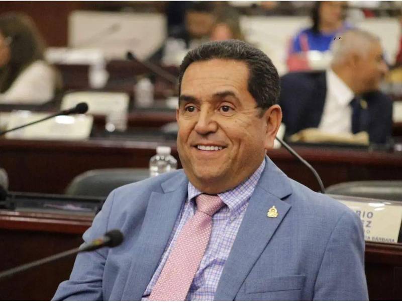 Una revisión de la Ley Orgánica del Poder Legislativo y la Ley Electoral muestra que la normativa hondureña sí regula plazos para las comisiones legislativas, pero no fija un plazo fatal.