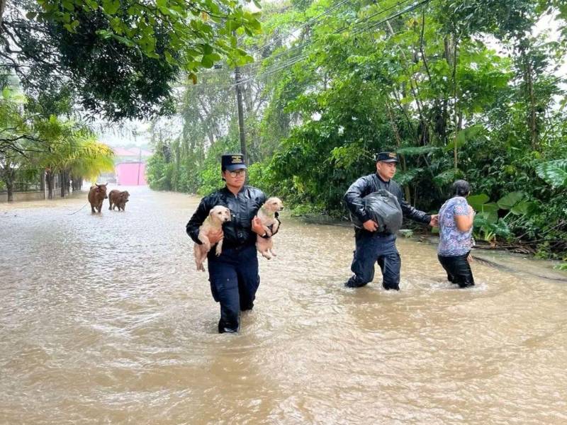 Equipos de rescate en el litoral atlántico mantiene labores de rescate y atención a afectados por las lluvias.