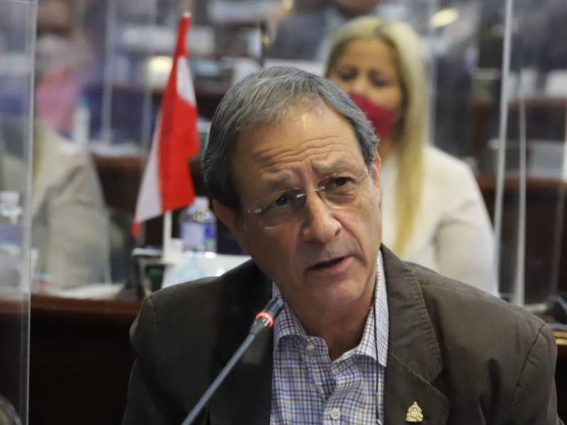 Mauricio Villeda fue candidato presidencial del Partido Liberal durante las elecciones generales de 2013.