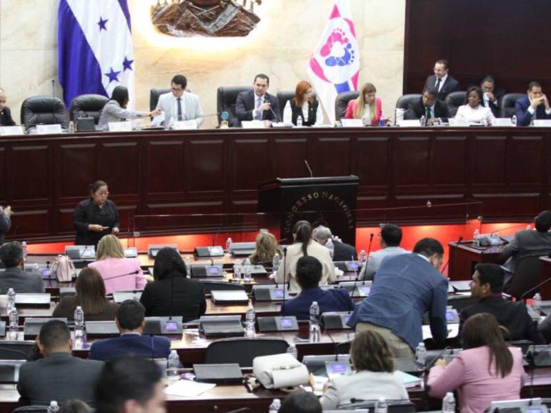 El Congreso Nacional aprobó el 25 de febrero la <b>Ley de Reactivación Económica y Desarrollo Humano.</b>