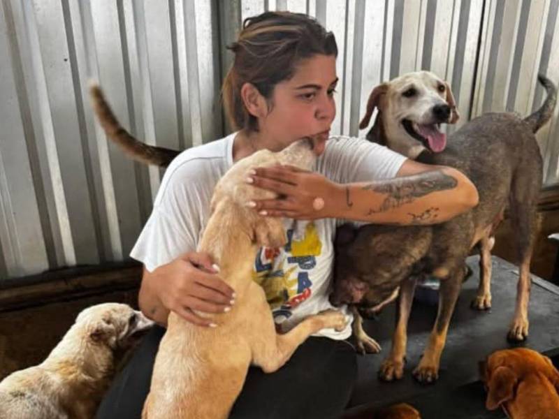 Fotografía de Geissel Oseguera.