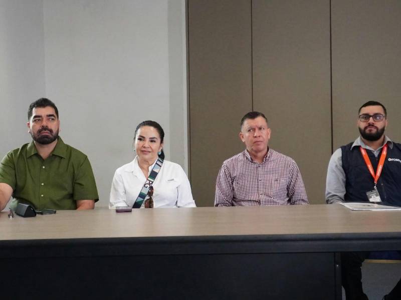 El Pleno de Comisionados del IAIP, integrado por Hermes Moncada, Lucy Hernández y Miguel Ángel Berríos, participa en las jornadas de sensibilización para preparar el VI Plan de Acción de Estado Abierto Honduras.