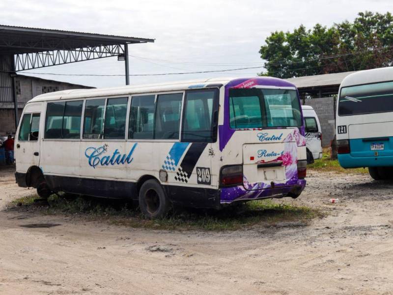 La suspensión del servicio ha dejado a miles de ciudadanos sin una de sus principales opciones de transporte diario.