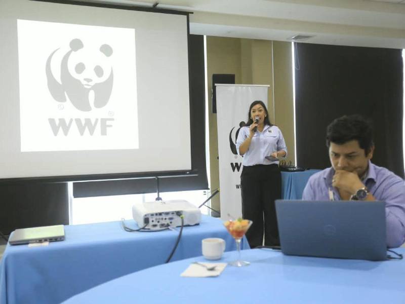 La licenciada Sara Velásquez, oficial de Comunicaciones, destacó la importancia del Informe Planeta Vivo para crear conciencia sobre la conservación de la biodiversidad. Señaló que habían transcurrido dos años desde la presentación del informe anterior.