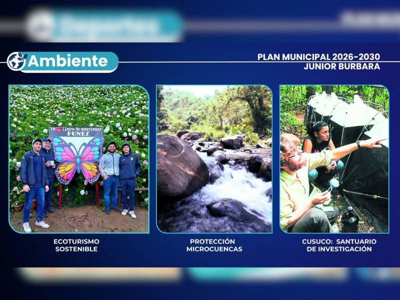 En cuanto al medio ambiente, el candidato Junior Burbara busca combinar el desarrollo urbano con la sostenibilidad ambiental.