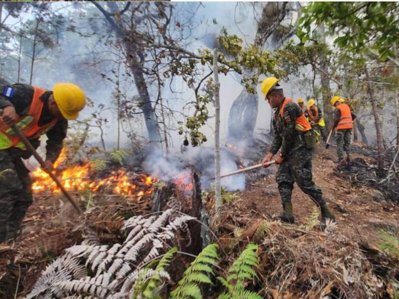 Autoridades de las Fuerzas Armadas y cuerpos de socorro mantienen labores de control y vigilancia ante el avance de incendios en zonas boscosas.