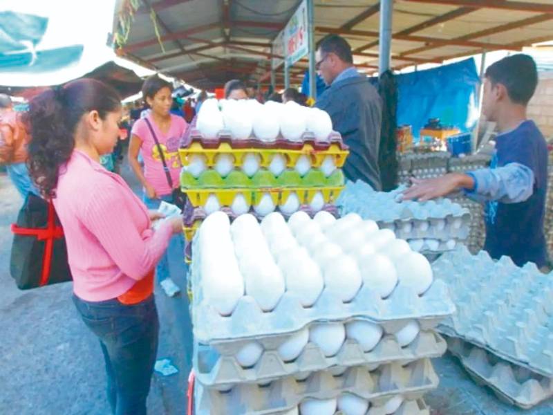 El cartón de huevos se mantiene a 125 lempiras en San Pedro Sula; sin embargo, comerciantes advierten que podría aumentar ocho lempiras en los próximos días, lo que representaría un nuevo gasto para las familias hondureñas.