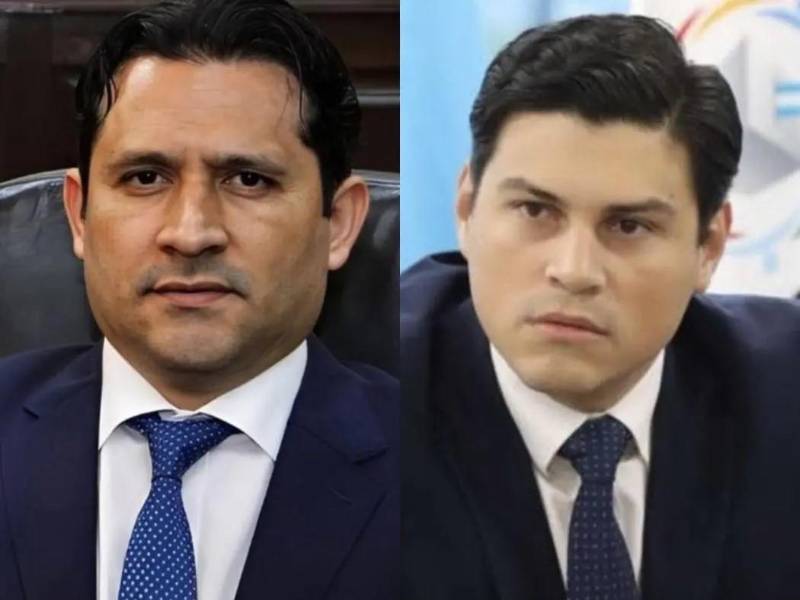 Las actuaciones de Mario Morazán, magistrado del Tribunal de Justicia Electoral (TJE), y Marlon Ochoa, consejero del Consejo Nacional Electoral (CNE), han sido cuestionadas.