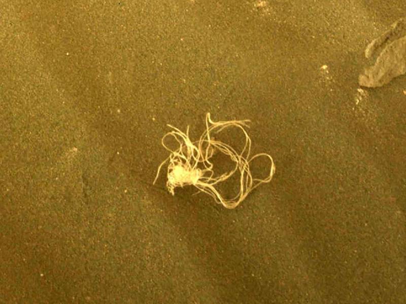 Cuatro días más tarde, cuando el Perseverance volvió al mismo lugar, los escombros ya no estaban.