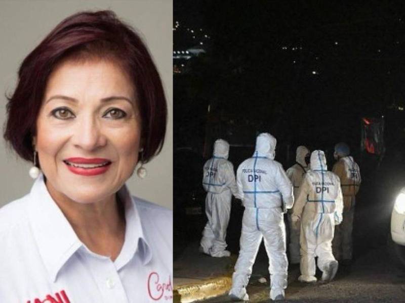 Carolina Haylock fue diputada del Partido Liberal de Honduras entre 2006 y 2010. En 2021, antes de ser asesinada, aspiraba a otra diputación participando en el movimiento de Yani Rosenthal.