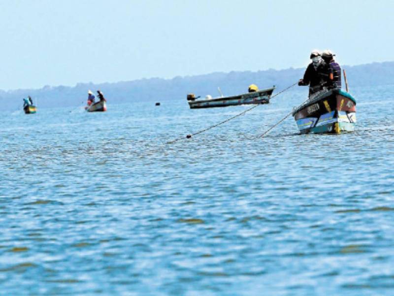 Expertos aconsejan que Honduras debe mejorar las condiciones de los pescadores del Golfo de Fonseca, instalando boyas para evitar que sean capturados por traspasar aguas de los países vecinos.