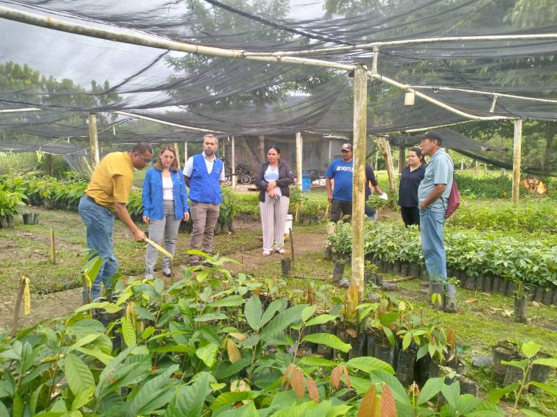 Representantes de la Unión Europea, Asociación Coordinadora Indígena y Campesina de Agroforestería Comunitaria de Centroamérica y la Unah.