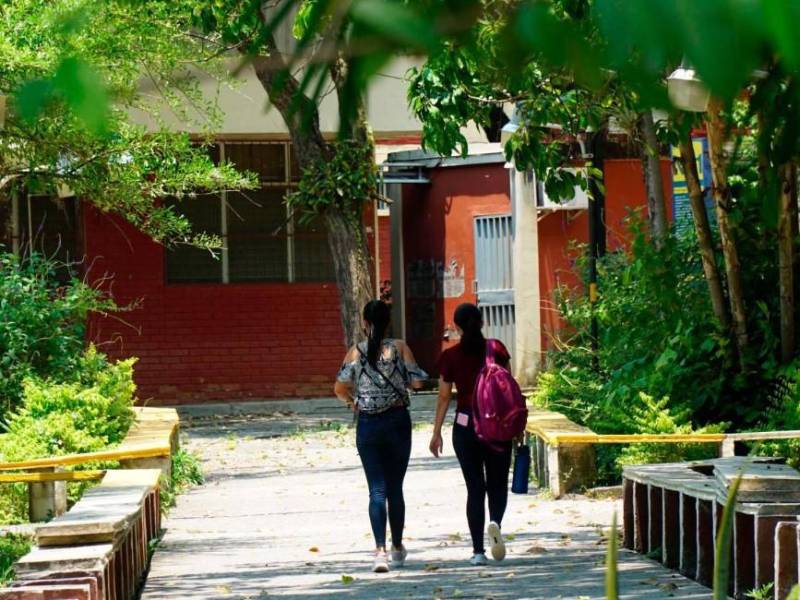Unos 22,000 estudiantes se matricularon en 2022 y se espera que 2,000 más ingresen el próximo periodo. Imagen de archivo.