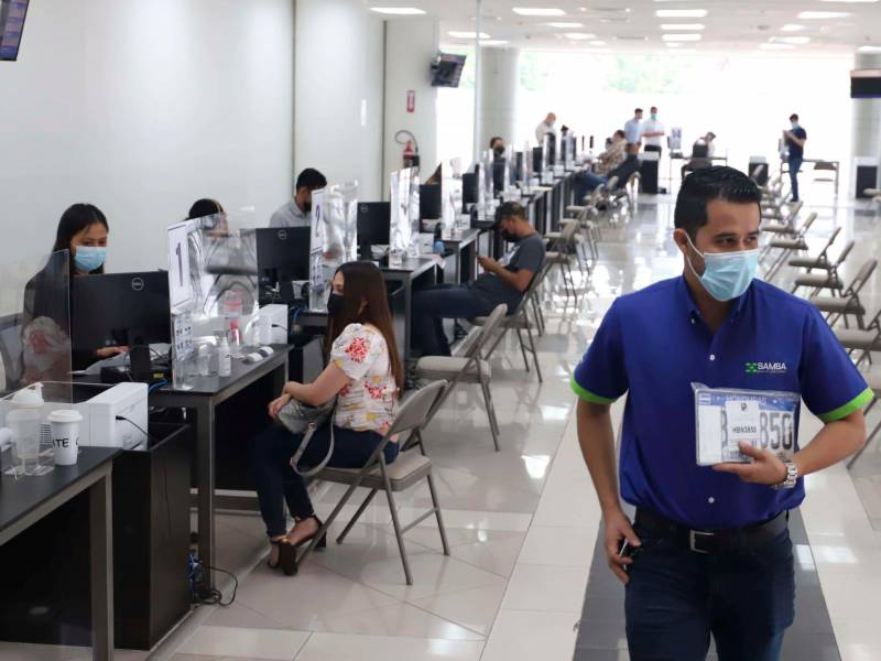 <b><span class=mln_uppercase_mln>Trámite.</span></b> Las placas se están entregando en los centros comerciales Galerías del Valle y City Mall.