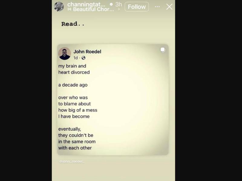 Mi cerebro y mi corazón se divorciaron hace una década por quién tenía la culpa del desastre en el que me he convertido. Al final, no podían estar en la misma habitación, así decía el mensaje que el protagonista de Querido John.