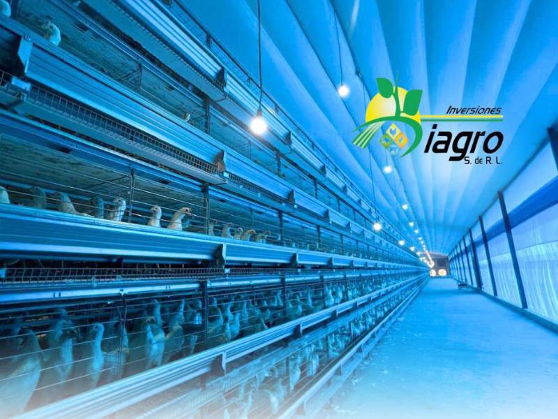 INVERSIONES DIAGRO se dedica a producir y comercializar productos agropecuarios principalmente para la avicultura.