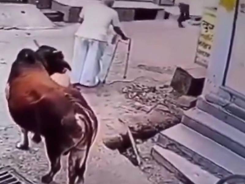 Video: Toro ataca a abuelita mientras caminaba por una calle