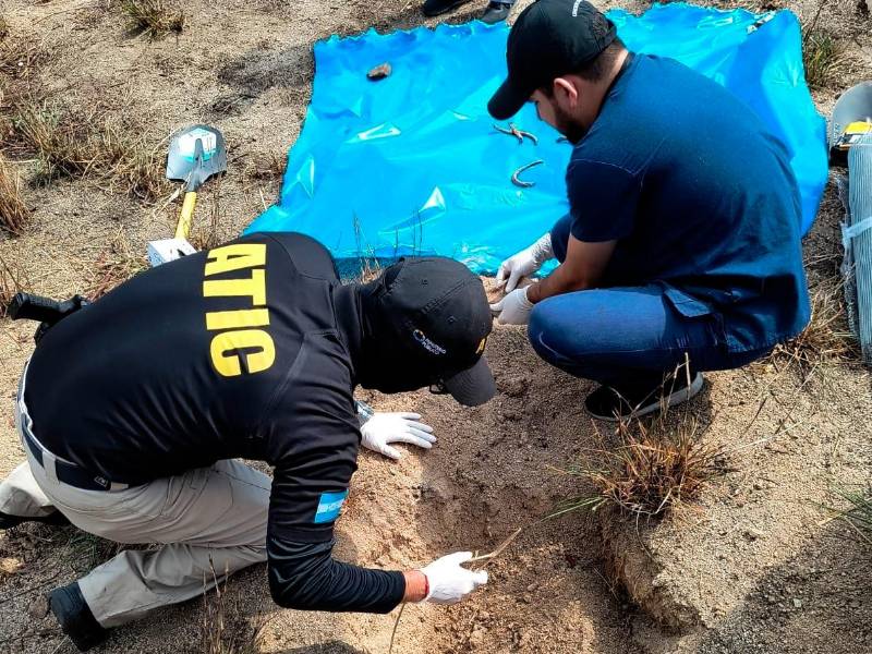 <b><span class=mln_uppercase_mln>labor.</span></b> Agentes se encargaron de las cuatro exhumaciones.