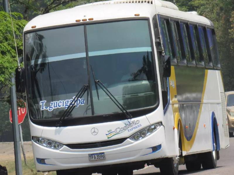 Una unidad interurbana en la carretera CA-5. Fotografía utilizada con fines referenciales.