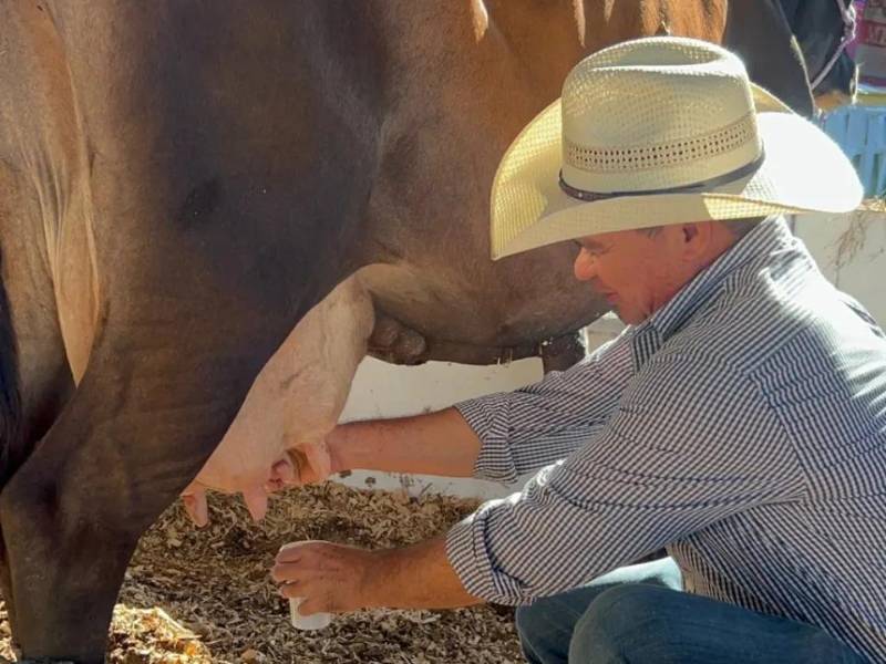 Los ganaderos aseguran que el ajuste al precio de la leche nació muerto, debido al alza en los combustibles.