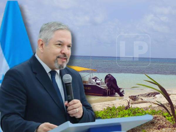 El canciller Eduardo Enrique Reina dijo que “estamos presentando todas las pruebas históricas, documentales o las necesarias para demostrar la posesión hondureña de los cayos”.