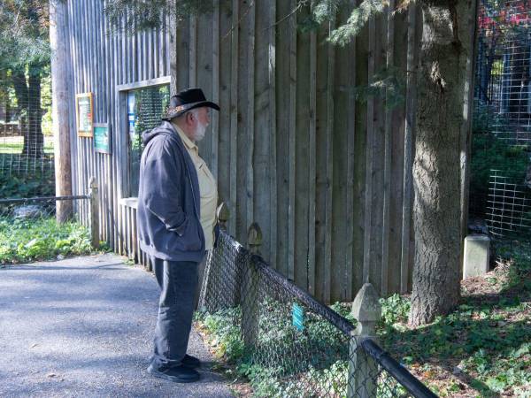 Herb Reed, voluntario en el Zoo de Nueva York y Ninja, un puma. Reed ha alimentado a un Ninja desde hace años.