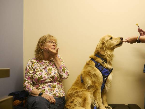 Kelly McGuire se prepara para vacunar a Finley, un retriever de 9 años, contra la bordetella en su clínica.