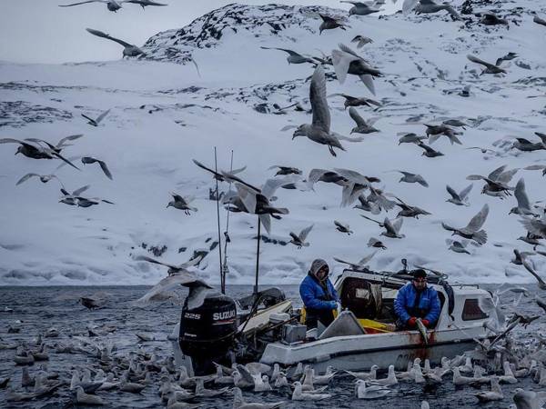 La economía de Groenlandia se basa en la pesca y depende de Dinamarca para obtener cientos de millones de dólares cada año. (Ivor Prickett para The New York Times)